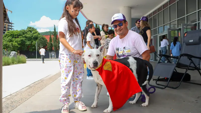 250713_ADOPCION DE PERROS HUELLITAS SEGURAS CINEDOT_IS-14